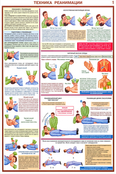 ПС02 Оказание первой помощи пострадавшим (ламинированная бумага, a2, 6 листов) - Плакаты - Медицинская помощь - магазин "Охрана труда и Техника безопасности"